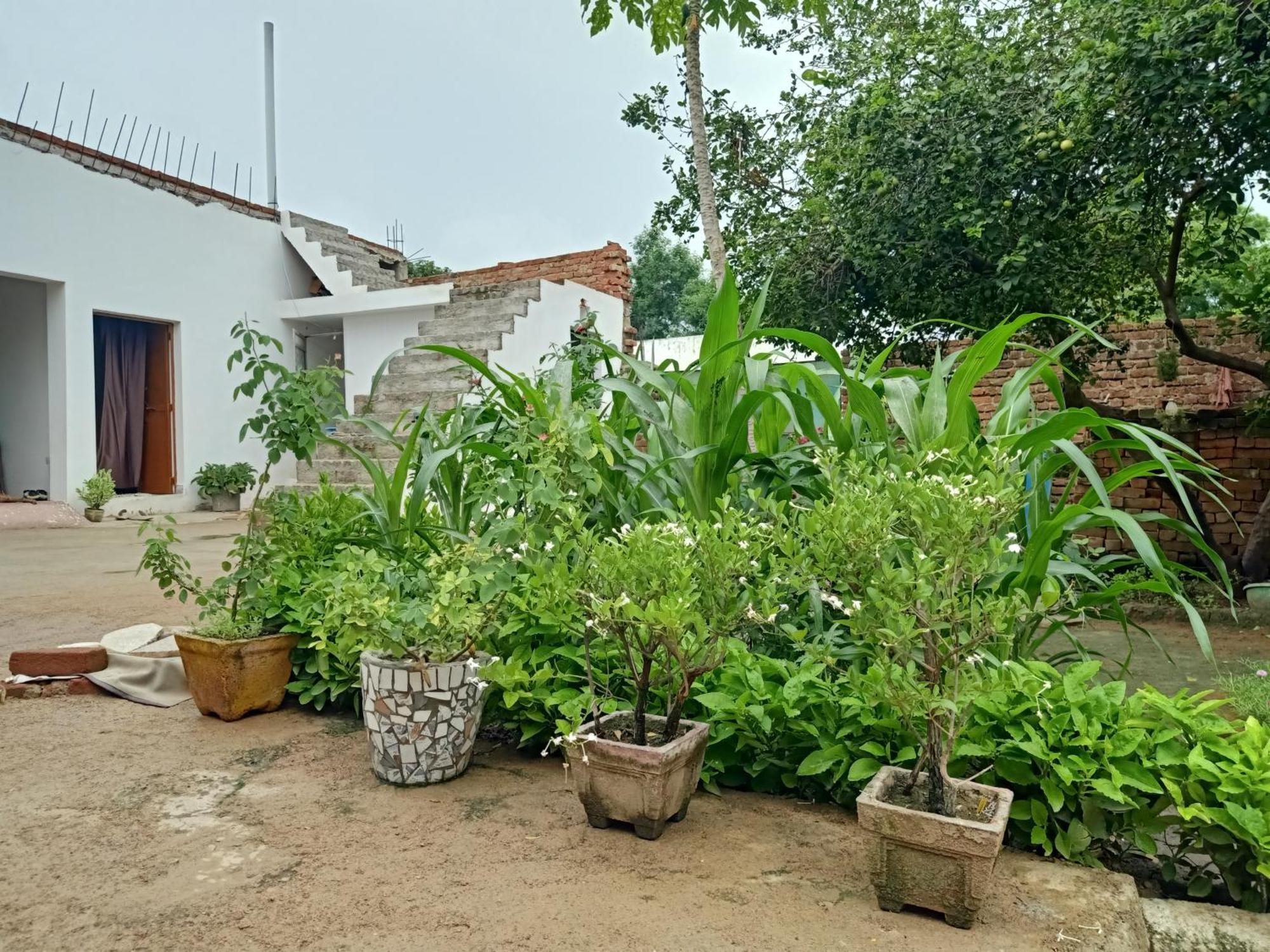 Khajuraho Rancho Apartment Exterior photo