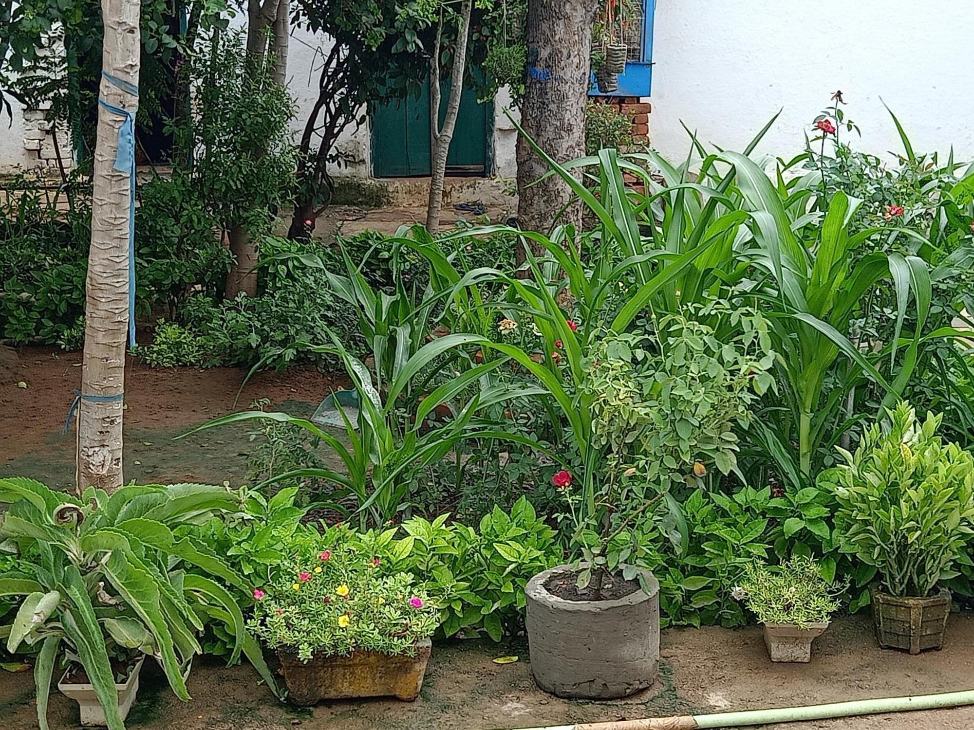 Khajuraho Rancho Apartment Exterior photo