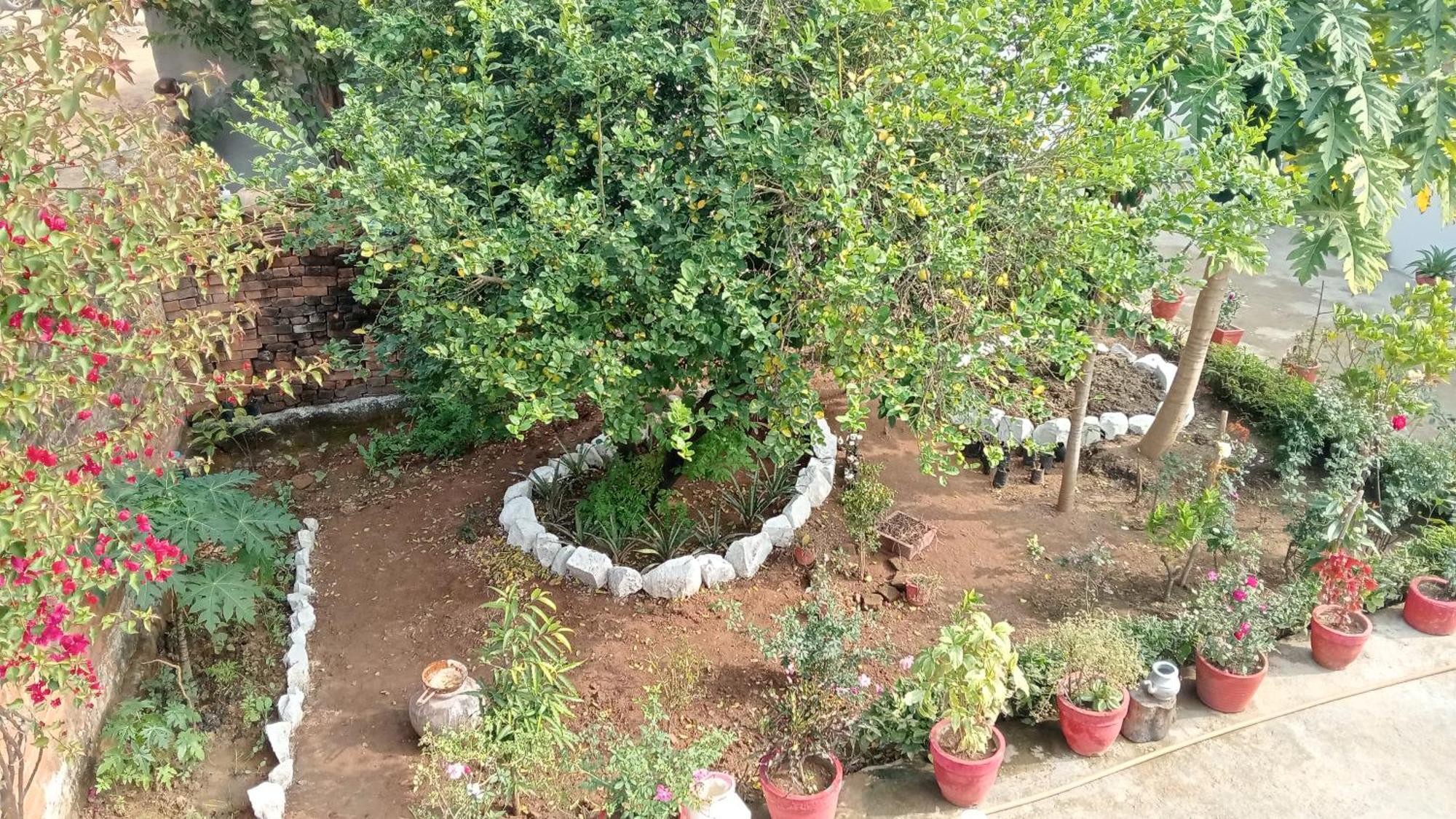 Khajuraho Rancho Apartment Exterior photo
